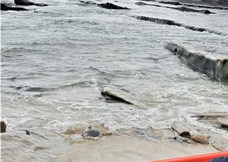 野柳海龜復健成功！學童見證重返海洋感動時刻