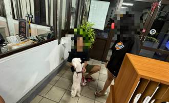 比熊犬「Dragon」八堵火车站逛大街 饲主深夜急奔派出所团圆
