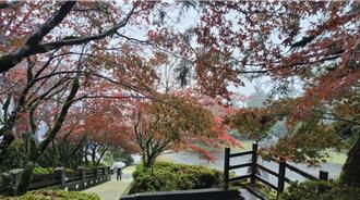 康芮颱风来袭！太平山30日起预警性休园 8步道同步封闭