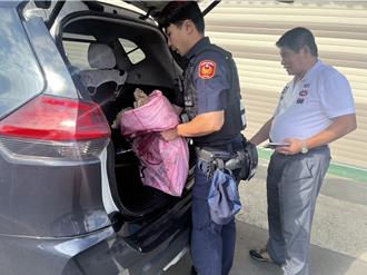 蘇卡達象巨龜「逃家」逛大街 警民聯手安全護送返家