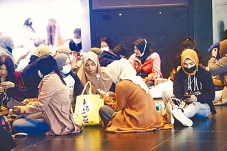 越南移工失聯達5.6萬 盜伐詐騙販毒樣樣來