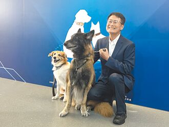 喵喵将比狗多 新北拟设猫乐园