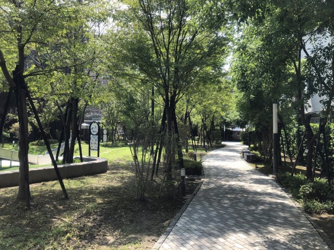 浅灰色阶步道及两旁乔木及绿地环绕包覆整座公园。(图/新北市新庄区公所)