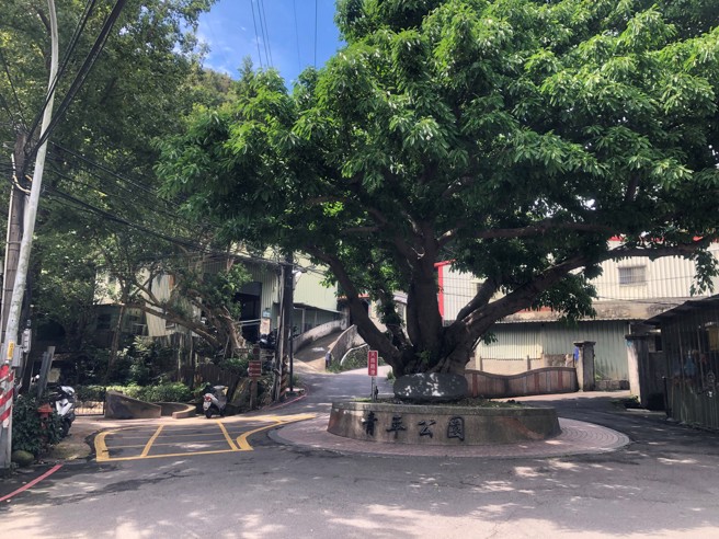 青年公园入口处有棵大雀榕和石碑。(图/新北市新庄区公所)