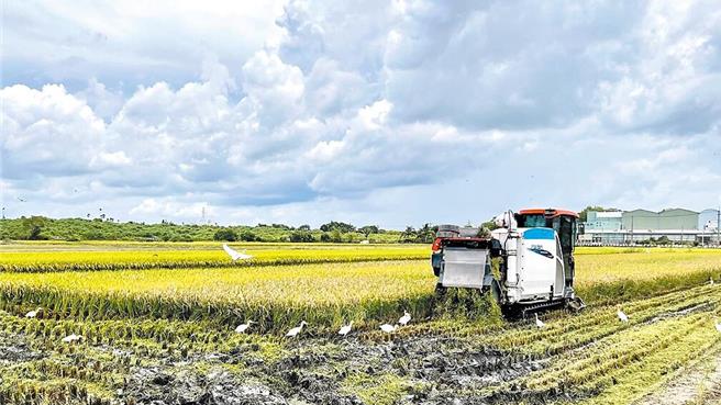 立法院今年7月通过主决议，要求农业部提高公粮收购价格，从每公斤26元调高至31元，农业部却未在2025年总预算编列。中华民国农会直言，基层稻农无奈不满，肥料、秧苗、农业、基本工资、物价上涨，唯独公粮收购价格13年不涨，已造成沉重压力。（本报资料照片）