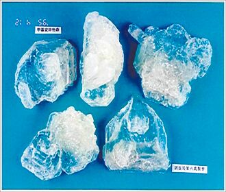 为赚5万 运上亿冰毒闯澳门遭逮