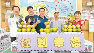 东山果农捐300箱 义卖助家扶