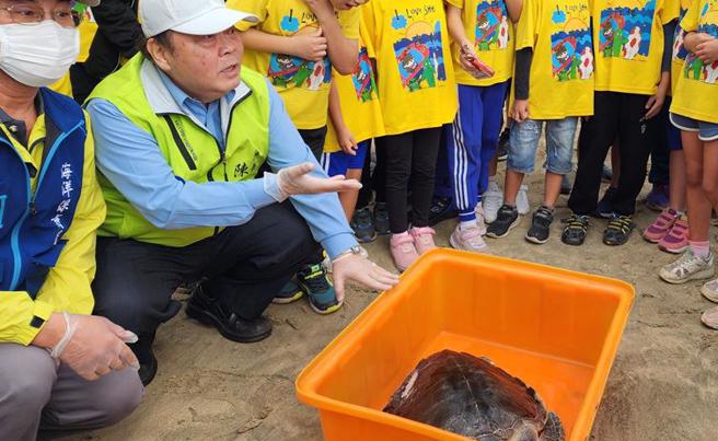 澎湖29日在馬公市嵵裡沙灘野放4頭救護收容的海龜，縣長陳光復（左二）亦藉此對三校學生進行海洋保育類野生動物教育宣導。（許逸民攝）