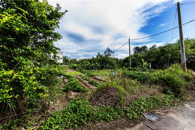 新豐鄉鳳坑沙灣第1期工程獲好評，縣府向林業保育署申請撥用4500平方公尺的保安林地辦理第2期工程，預計年底前完成發包。（羅浚濱攝）