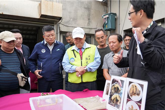 澎湖縣長陳光復，29日下午到西衛養殖場，視察馬糞海膽人工養殖成果，聽取人工餌料開發的簡報。（澎縣府提供／許逸民澎湖傳真）