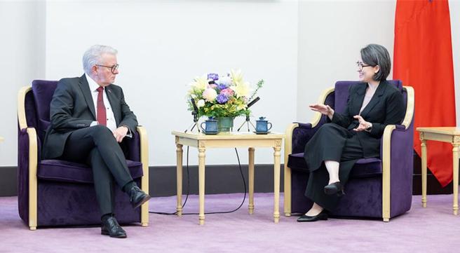 副總統蕭美琴29日接見歐洲議會跨黨派議員訪台團。圖／總統府提供