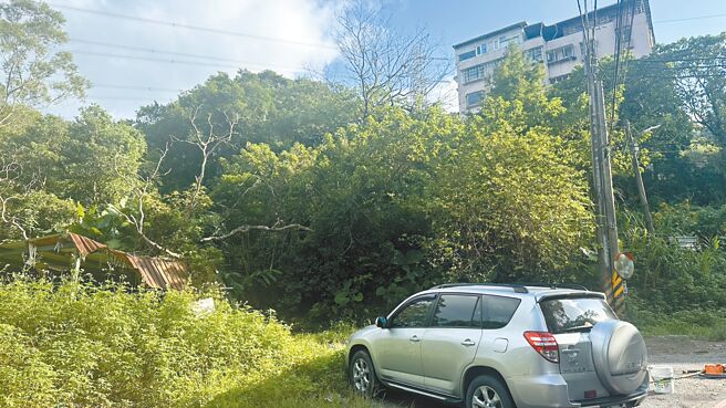 新北市深坑區因鄰近山區生態豐富，當中也包含獼猴，不過卻有民眾擅自餵食，導致猴群聚集，引發居民人心惶惶。（賀培晏攝）