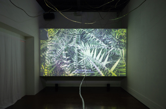 南岛文化与艺术的交织：2024南岛国际美术奖暨展览在臺东美术馆精彩展现