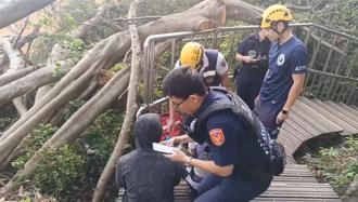 找到了！高雄男獨登柴山失聯2夜   清晨現蹤步道被尋獲