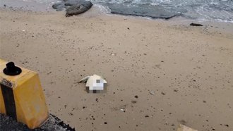 康芮颱風撲台前夕 澎湖保育類綠蠵龜屍體驚現沙灘