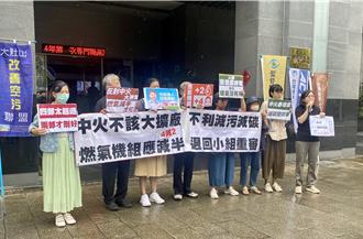 中火二期扩厂挨批「养碳排巨兽」 环团吁机组减半