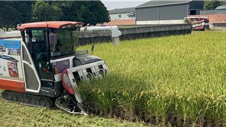 康芮來襲！雲林稻農忙搶收 周末台灣咖啡節取消