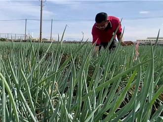 彰化放颱风假 网友大讚：惠美惠美顶呱呱