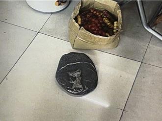 桃園男「奇石」售出卻想買回！趁石商猶豫竟用搶