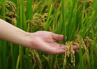 海納百川》俄烏戰爭給台農的警示（李武忠）