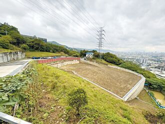 树林 忠兴宫山坡地盖庙 地方忧安全