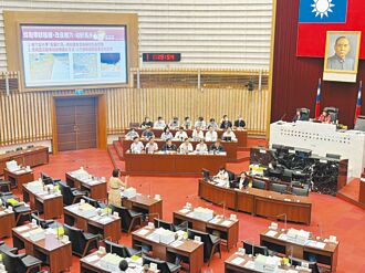 防风灾树倒 高市议员促改善