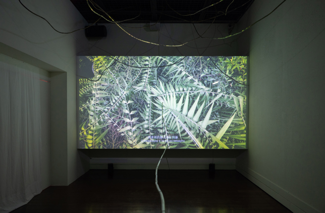 (圖/國立臺東大學 整合設計與藝術工作室提供)