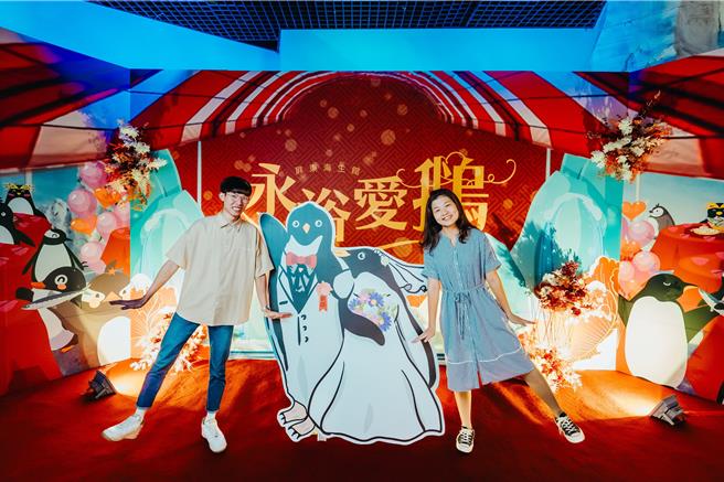 海生馆将极地区布置成企鹅婚宴，民眾可以在婚宴背板前与这对企鹅新人合照打卡。（海生馆提供／罗琦文屏东传真）