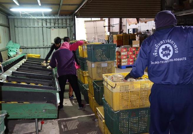 据农产品批发市场行情站统计，台北市场蔬菜价30日较29日略涨至每公斤48.2元，较29日的47元略涨。（报系资料照）