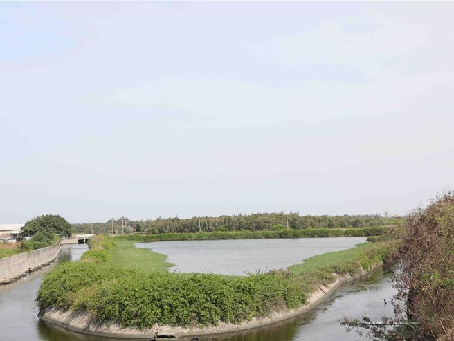 溪子下農場抽水站治理工程預計利用鰲鼓排水路旁的台糖溪子下農場土地設置1座10cms抽水站及面積約10公頃的蓄洪池。(呂妍庭攝)