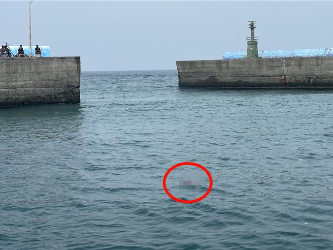 小琉球白沙港30日中午发现一具女性浮尸。（民眾提供／罗琦文屏东传真）