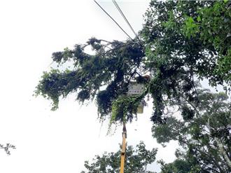 康芮來襲！大新竹2381戶無電可用 台電搶修中