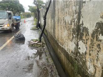 桃園楊梅員本里長清淤 天雨路滑不慎摔入水溝內出血