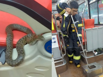 公車有蛇！女搭車「臭青母爬腳上」共乘嚇慘  消防暖男急救美