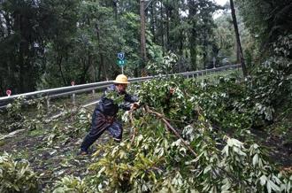 康芮颱风狂风豪雨吹断树枝压电线 宜兰657户停电