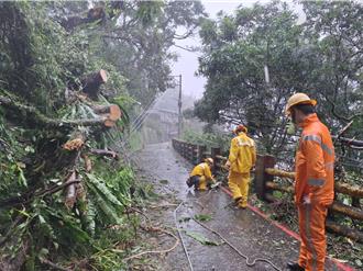 影》康芮襲台！新北山區2萬3460戶停電 台電動員搶修
