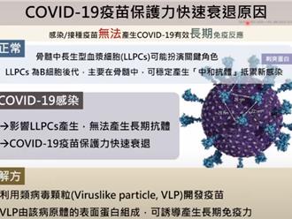 「新冠XEC变种病毒」勿轻忽 专家示警：人体几无抗体
