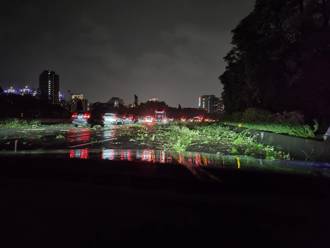 國三北上土城段車道封閉 樹枝斷裂占據車道導致