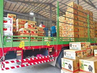 南投農友搶出貨 中部山林禁入