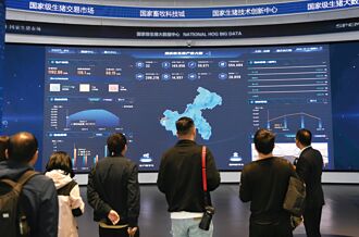 陸電信再開放 外資獨資經營IDC