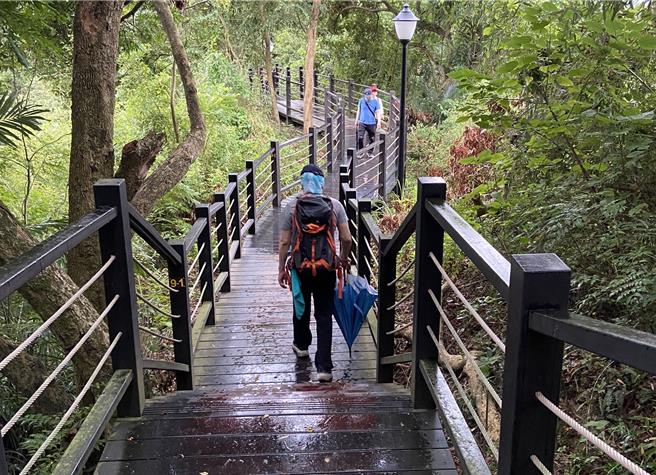 台中大坑登山步道10月31日清晨仍见零星登山人潮，不少山友撑伞踩踏过步道入口处禁止进入的黄布条继续登山。（民眾提供）
