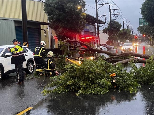 今日凌晨4点在广兴路1185号发生路树倒塌情形。（八德警分局提供）