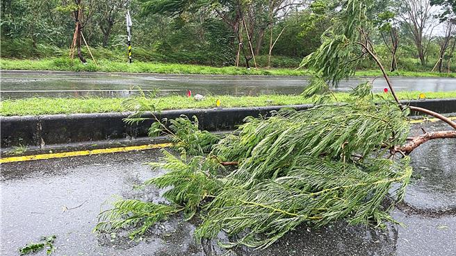 台東市街道散布零星樹木殘枝。（蕭嘉蕙攝）
