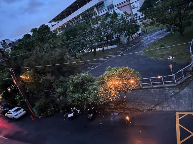 高雄左营区海平路今清晨5时许惊传爆炸声，附近住户被吓醒，打开窗户一看发现电线杆上的电线起火。（翻摄自中天新闻）