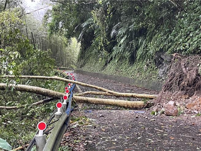五峰鄉南清公路約44K處小坍塌樹木橫躺路中，目前雙向舞法通行，機具進駐排除中。（民眾提供／邱立雅竹縣傳真）