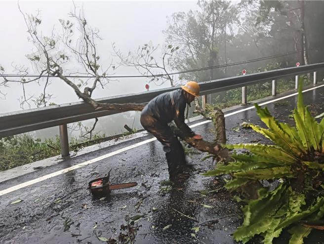康芮強風豪雨致宜蘭地區大樹傾倒阻礙交通，台電同仁徒步巡視搶修。(台電提供)