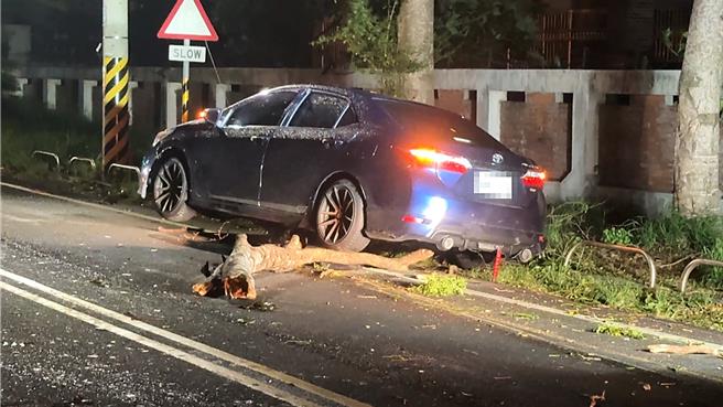台东市行道路不敌强风吹袭倒塌，轿车驾驶即时闪避，但车辆底盘被树枝卡住，动弹不得。（民眾提供／萧嘉蕙台东传真）