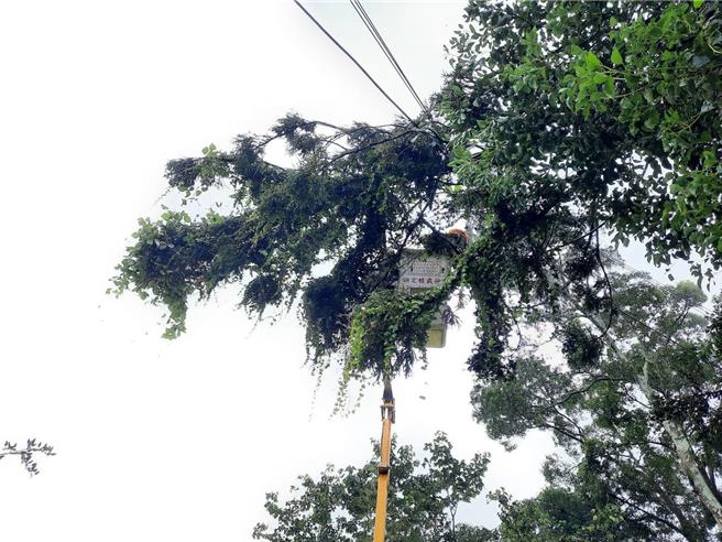 截至31日上午12時止，累計造成新竹地區曾達4375戶停電，目前有2381戶尚未復電。（台電提供／邱立雅竹縣傳真）
