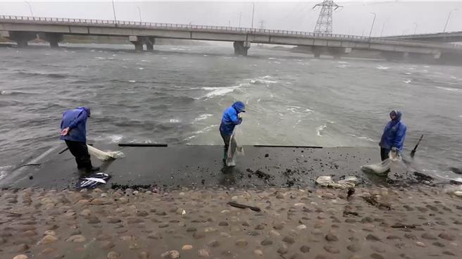 彰濱工業區線西區沿海有3名老伯頂著強風大浪撒網捕魚。（孫英哲攝）