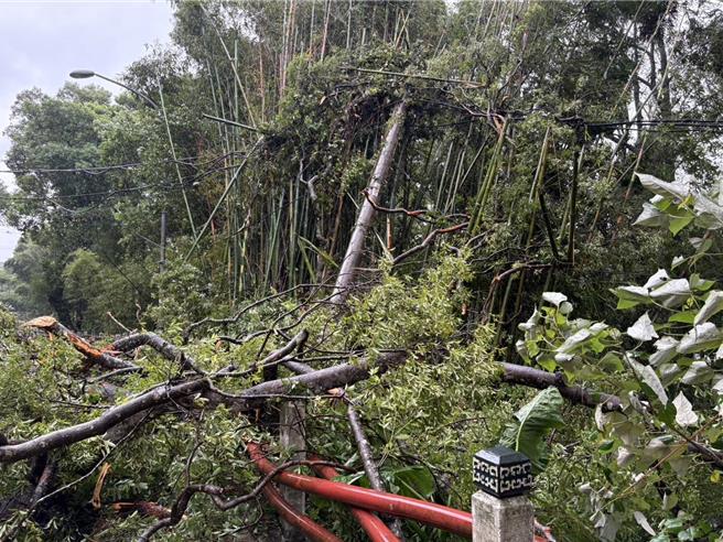 桃園累積1.1萬餘戶停電，台電桃園區處總動員，加上桃市府支援清除障礙物，截至下午1時已復電5707戶、約51％。（台電提供／蔡依珍桃園傳真）